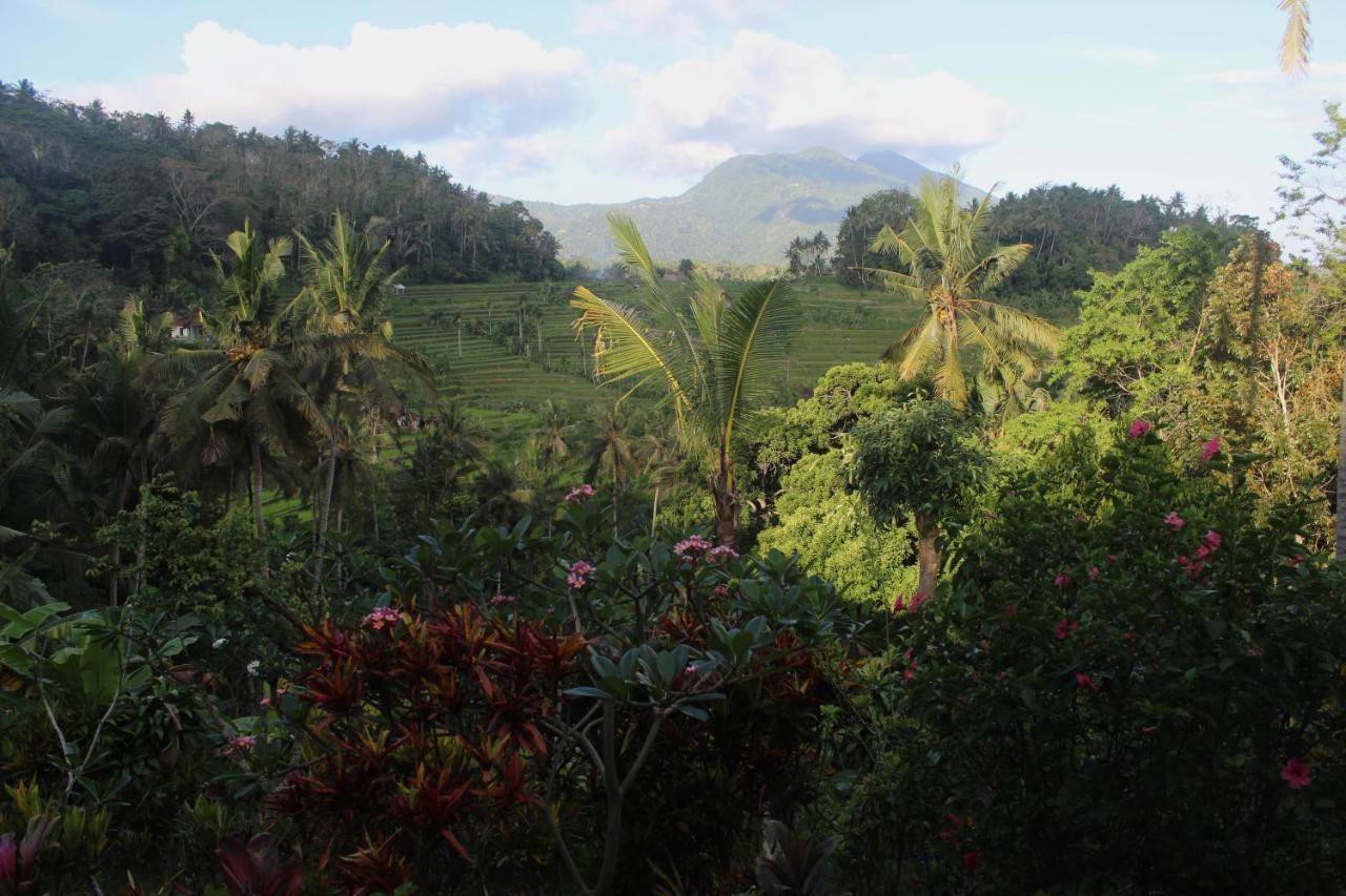 Karangasem Pondok Lembah Dukuh Homestay מראה חיצוני תמונה