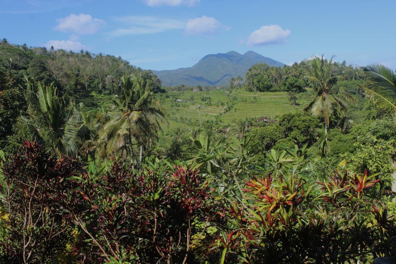 Karangasem Pondok Lembah Dukuh Homestay מראה חיצוני תמונה