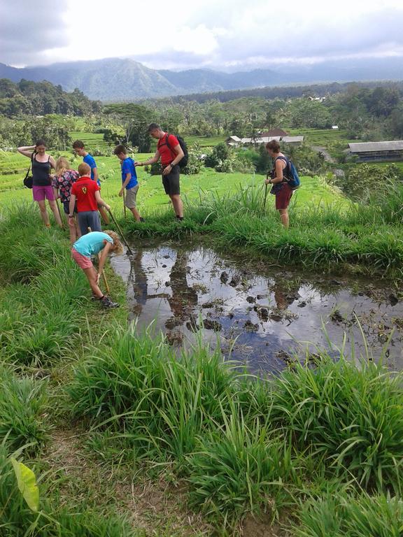 Karangasem Pondok Lembah Dukuh Homestay מראה חיצוני תמונה